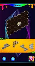 Chad Wild Clay Hexa Puzzle截图3