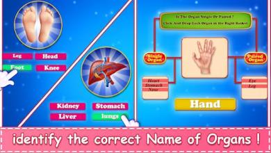 Learn Human Body Parts For Kids截图2