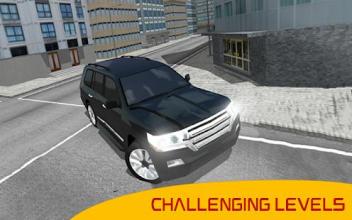 Land Cruiser Race : Real Offroad Rally Driving Sim截图2