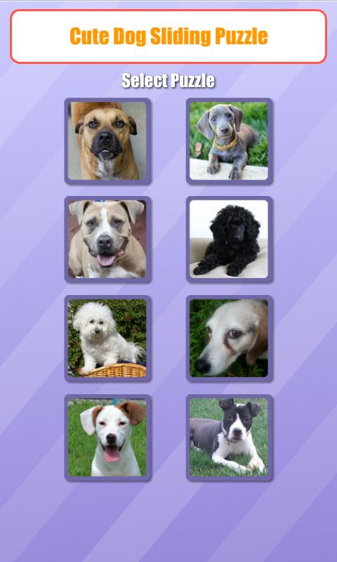 Cute Dog Sliding Puzzle截图1