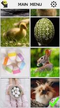 Easter Slide Puzzle截图2