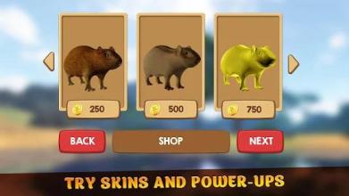 Wild Guinea Pig Life Survival Simulator 3D截图1