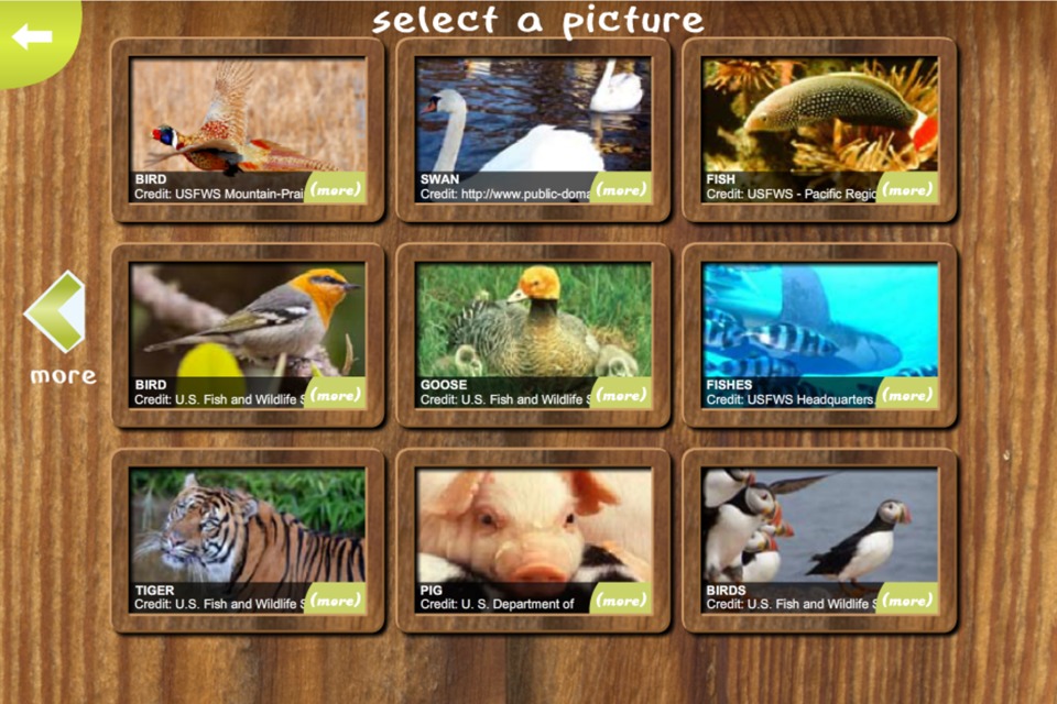 Jigsaw Animal Pic Free Edition截图2