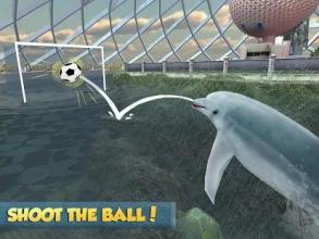 Dolphin Aquarium: Fun Sports 3D Challenge截图4