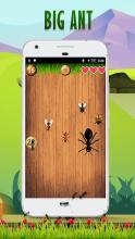 Ant Smasher || Ants Game截图1