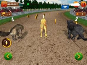 The Animal Racing截图5