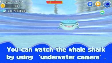 Whale shark in my room截图3