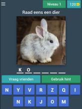 Dieren Quiz截图3