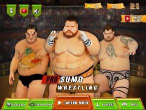 Sumo Wrestling Fighting: Sumo Fight 2018截图3