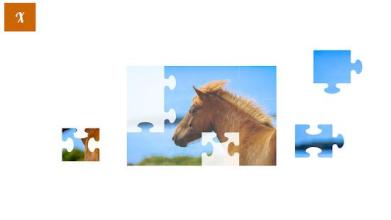 Jigsaw Puzzles with Horses截图3