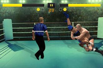 New Immortal Superstar Wrestling Game截图4