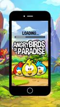 Bird Games : Birds of Paradise are Angry截图1