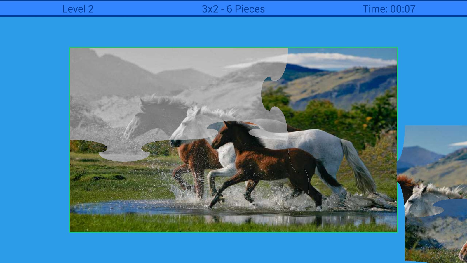 Horses Puzzle截图1