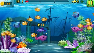 Hungry Fish - Crazy Shark截图2