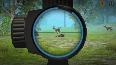 Wild Deer Jungle Hunting 2018截图5