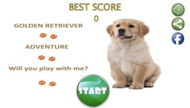 Golden Retriever Adventure Game截图3