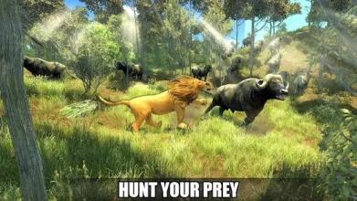 The Lion Simulator 3D: Forest Life of Lion Games截图5