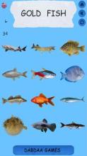 Learning Name Of Fishes - practice, test, sound截图3