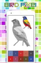 Coloring Bird Pixel Art, By Number截图2