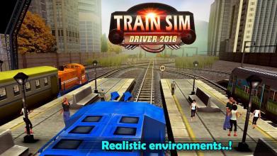 Train Simulation 2017截图2