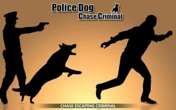 UN City Police Dog: Chase Criminals截图3