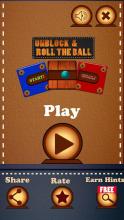 Unblock and Roll the Ball - Sliding Puzzle Game截图1