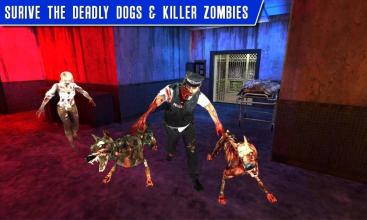 Zombie Shooter War 3D: Survival Death Shooting截图2