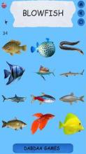 Learning Name Of Fishes - practice, test, sound截图2