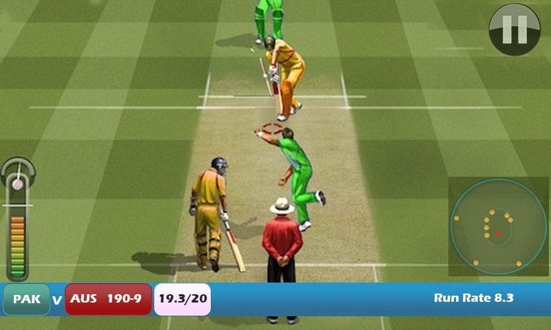 Pak vs Aus Cricket Game Live截图2