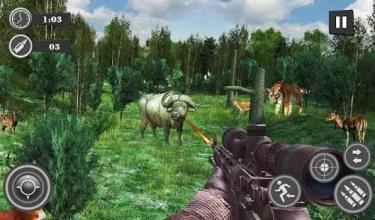 Sniper Hunting Survival Mission : Wild Animal Game截图4