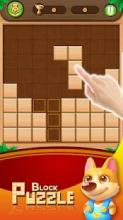 Block Puzzle Splash - Drag And Drop截图4