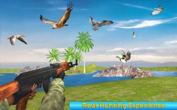 Birds Hunting Challenge截图1