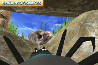 Spider Family Nest Simulator 3D截图5