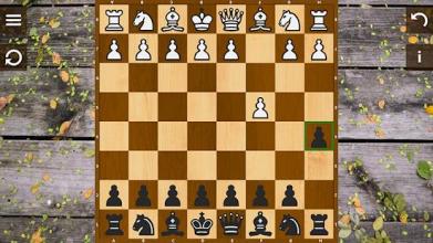 Chess Echecs 3D Free截图1