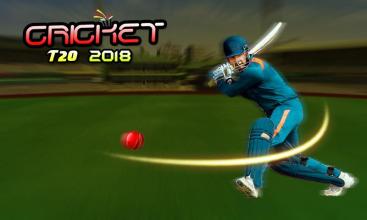 Cricket t20 2017截图4