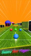 Cricket Ball Twist : Rainbow Color截图3