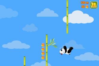 Panda Slide Adventure截图2