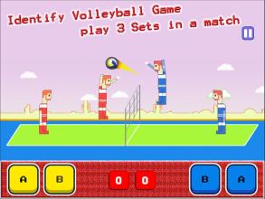 Volleyball Spike Hit截图1