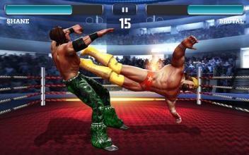 Pro Superstar Wrestling Games Free 2018截图2