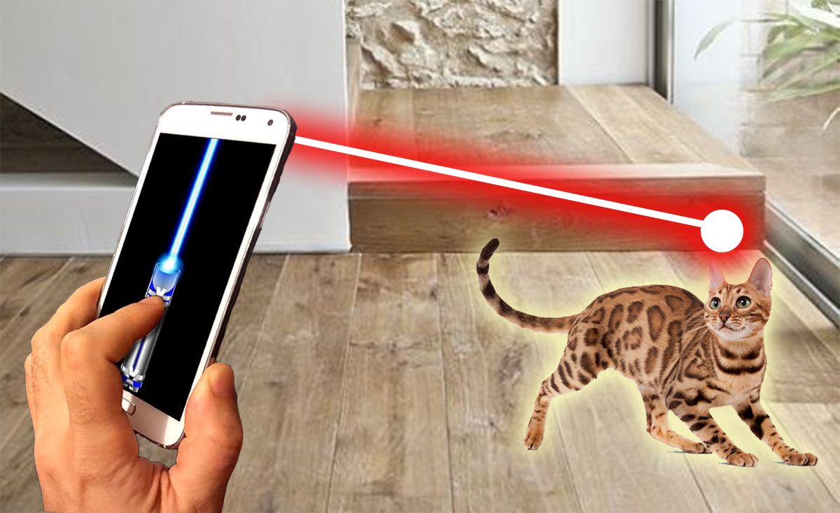 Laser for Cat Prank截图2