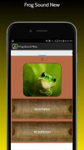 Frog Sound New截图2