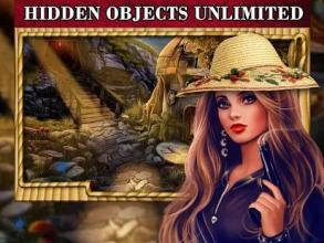 Hidden Object : Hidden Figures Game截图5