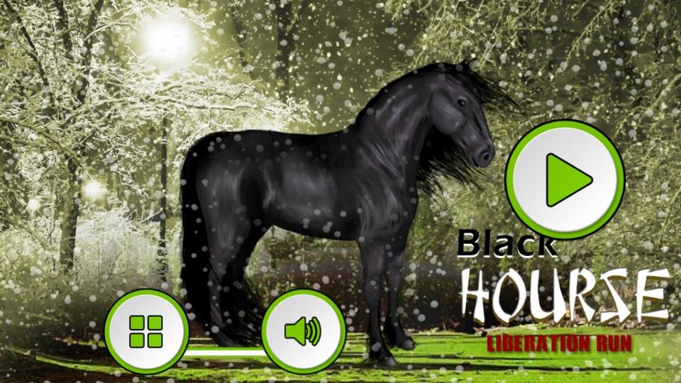 Black Horse Liberation Run截图3