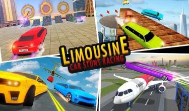 Skydiving Limousine Car Stunt Racing Car Driving截图1