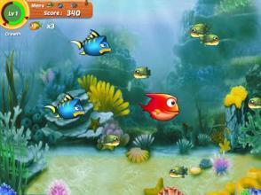 Big Fish Eat Small Fish - Hungry Fish截图3