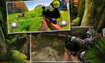 Jungle Hunter 3D ★ Sniper Kill with DINOSAURS截图4