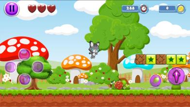 Super Cat run Adventure截图5