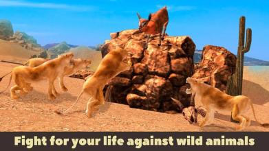 Llama Wild Life Simulator 3D截图2