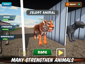 The Animal Racing截图2