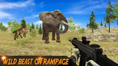 Animal Hunting: Wild Sniper Shooter截图5